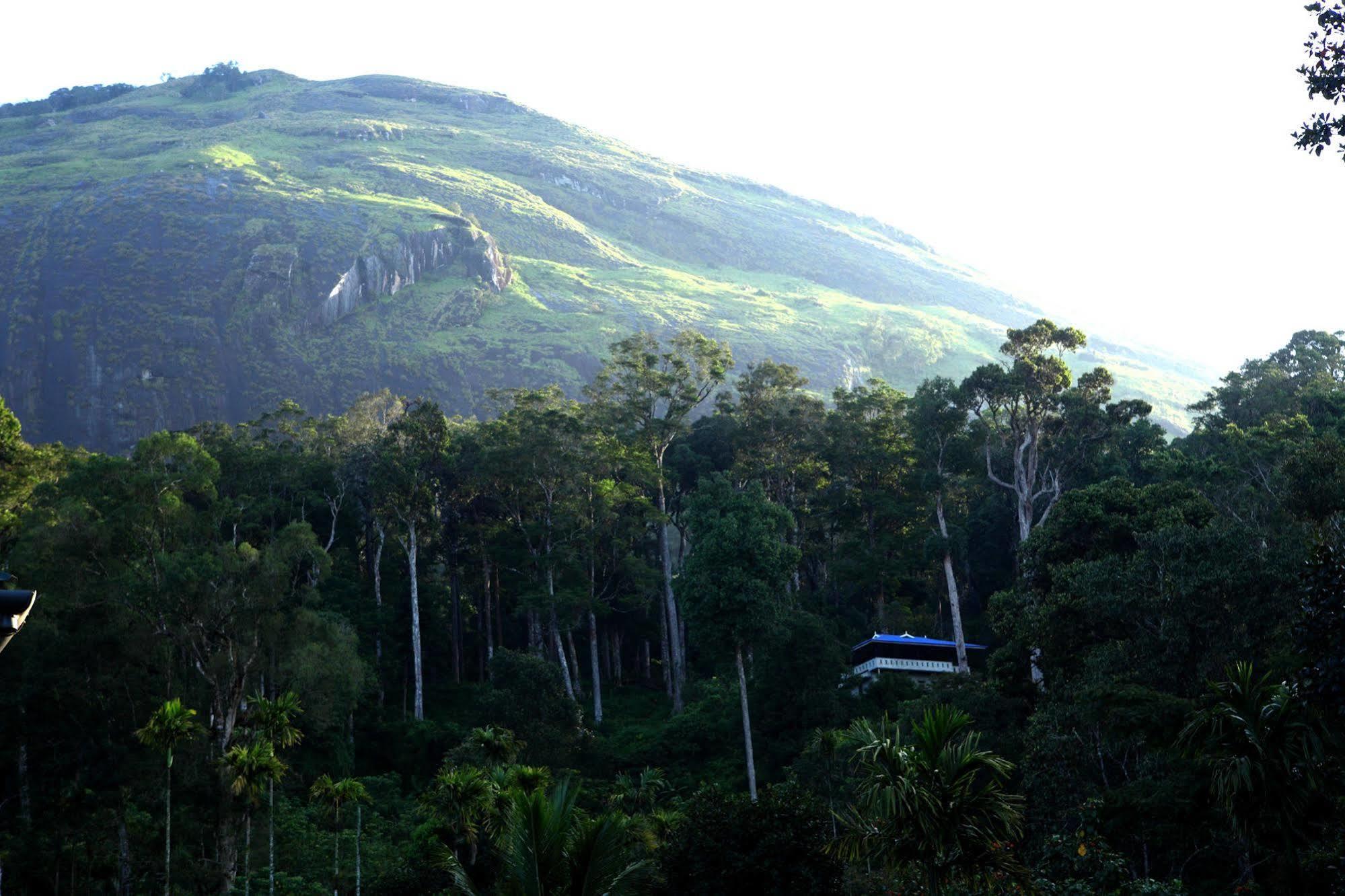 Green Shades Munnar Exterior photo
